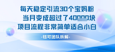 每天稳定引流30个人 当月变成超过了4个W项目流程非常简单适合小白-邪修侠