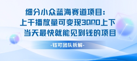 小众蓝海赛道项目：当天变现1k+适合新手操作 +适合长期玩-网亿资源平台