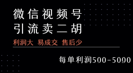 视频号卖二胡教程，利润大 易成交 售后少，一单利润5张+-网亿资源平台