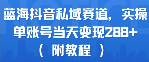 蓝海抖音私域赛道，实操单账号当天变现288+(附教程)-网亿资源平台