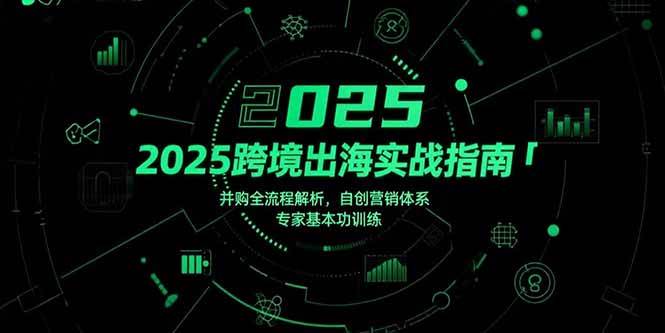 （15503期）2025跨境出海实战指南，并购全流程解析，自创营销体系，专家基本功训练-网亿资源平台