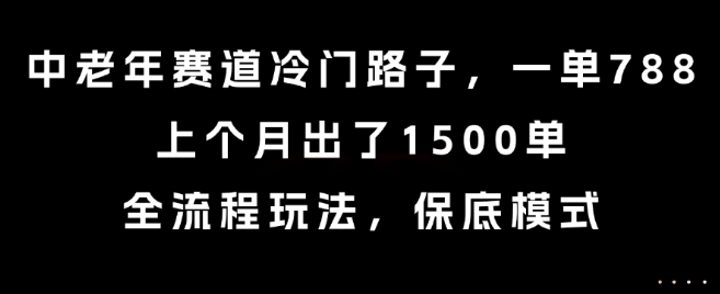 中老年赛道冷门路子，一单788，上个月出了1500单，全流程玩法，保底模式【揭秘】-网亿资源平台