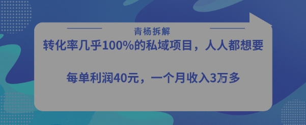 转化率最高的私域项目，每单利润40-50米，月入过1w-网亿资源平台