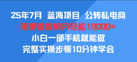 25年7月蓝海项目，公转私电商，随便做做单月轻松1w，小白一部手机就能做，完整实操步骤10分钟学会-网亿资源平台