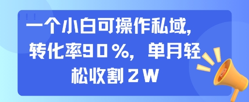 一个小白可操作私域，转化率90%，单月轻松收割2W-邪修侠