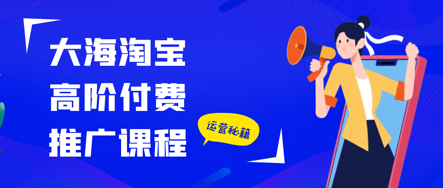 大海淘宝高阶付费推广课程-网亿资源平台