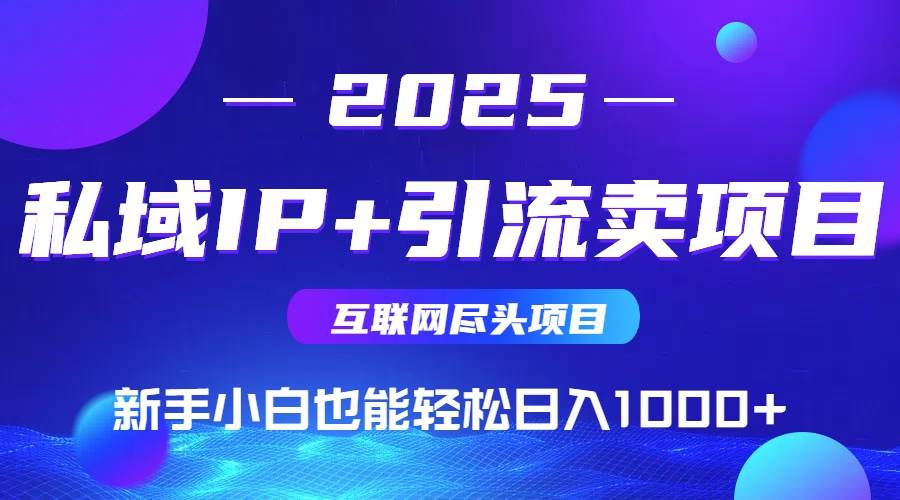 （15531期）2025网创尽头项目，私域IP+引流，新手小白也能在家日入1000+-网亿资源平台