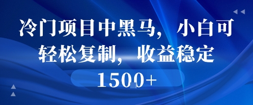 冷门项目中黑马，小白可轻松复制，收益稳定1.5k-网亿资源平台