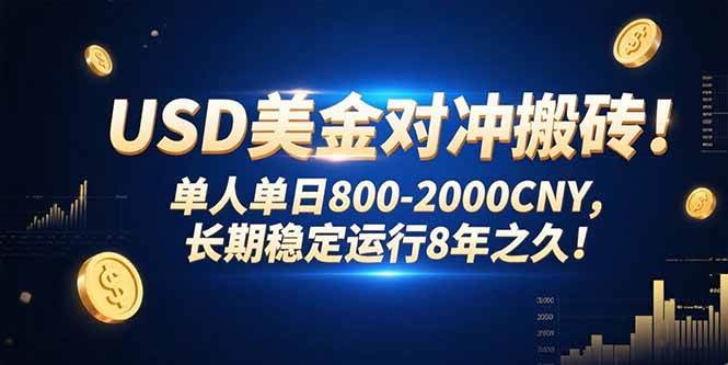 （15551期）USD美金对冲搬砖!单人单日800-2000CNY，长期稳定运行8年之久!-网亿资源平台