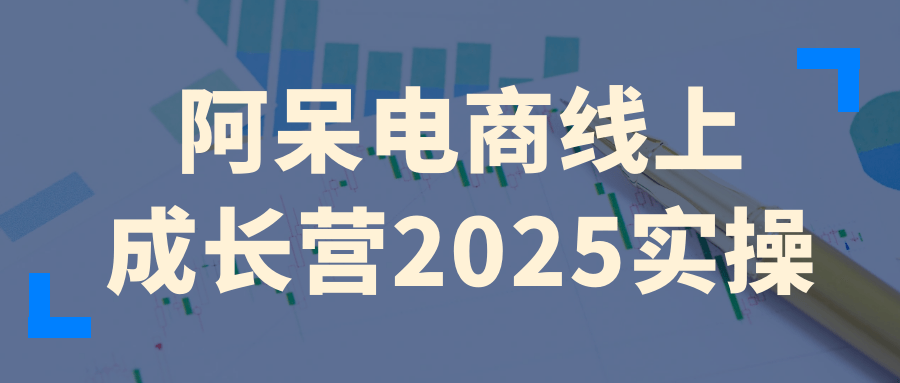 阿呆电商线上成长营2025实操-网亿资源平台