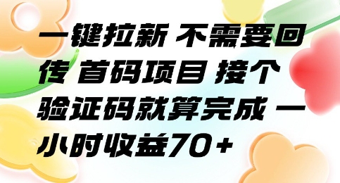 一键拉新 不需要回传 首码项目 接个验证码就算完成 一小时收益70+【揭秘】-网亿资源平台