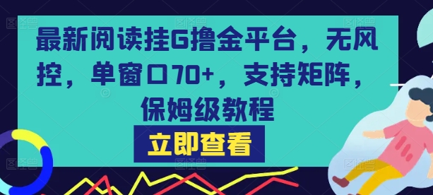 最新阅读挂G撸金平台，无风控，单窗口70+，支持矩阵，保姆级教程【揭秘】-网亿资源平台