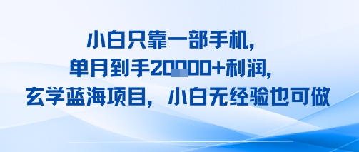 小白只靠一部手机，单月到手2W+利润，玄学蓝海项目，小白无经验也可做-网亿资源平台