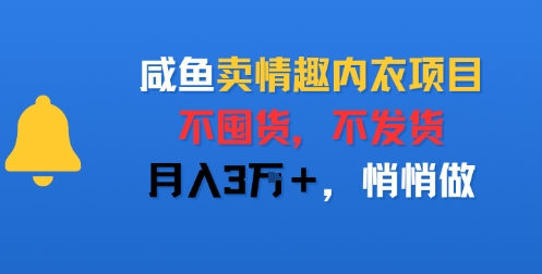 咸鱼卖情趣内衣项目，不囤货，不发货，月入3W+，悄悄做