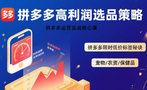 拼多多选品暴利技术实战课，拼多多高利润选品策略，拼多多限时低价标签秘诀-网亿资源平台
