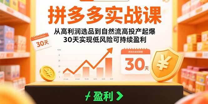 （15586期）拼多多实战课：从高利润选品到自然流高投产起爆 30天实现低风险可持续盈利-网亿资源平台
