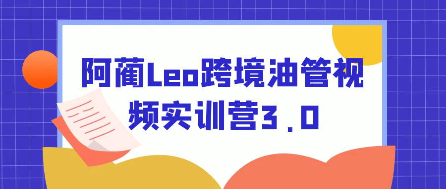 阿蔺Leo跨境油管视频实训营3.0-网亿资源平台