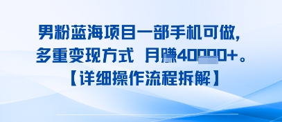 8月新男粉蓝海项目一部手机可做，多重变现方式 月入4W+【详细操作流程拆解】-网亿资源平台