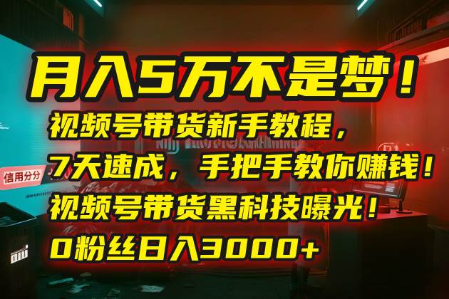 （15595期）月入5万不是梦！视频号带货新手教程，7天速成，手把手教你赚钱！视频号…-网亿资源平台
