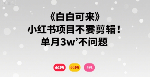 小白可来 小红书项目不需要剪辑 单月3w不是问题-网亿资源平台