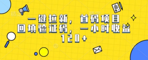 一键拉新，首码项目，回填验证码，一小时收益1张-网亿资源平台