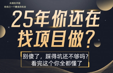 25年，你还在疯狂的找项目吗？别傻了，看完这个你都懂了【揭秘】-网亿资源平台