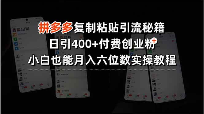 （15613期）拼多多复制粘贴引流秘籍，日引400+付费创业粉，小白也能月入六位数实操…-网亿资源平台