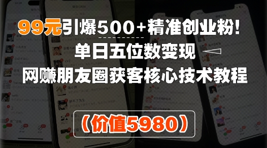 99元引爆500+精准创业粉！单日五位数变现，网创朋友圈获客核心技术教程-网亿资源平台