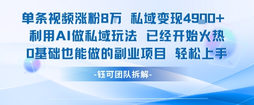 单条视频私域变现4.9k+利用AI做私域玩法 已经开始火热0基础也能做的副业项目轻松上手-网亿资源平台