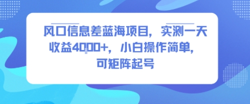 风口信息差蓝海项目，实测一天收益4k+，小白操作简单，可矩阵起号-网亿资源平台