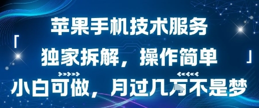 苹果手机技术服务，独家拆解，操作简单，小白可做，月过1W不是梦-网亿资源平台