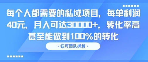 每个人都需要的私域项目，每单利润40米，月入可达3W+，转化率高 甚至能做到100%的转化-网亿资源平台