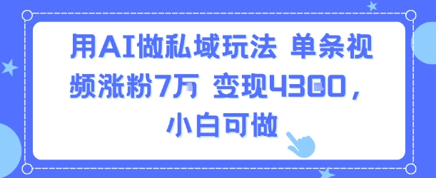 用AI做私域玩法,单条视频涨粉7W变现4.3k,小白可做-邪修侠 - 演示