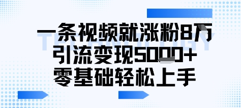 一条视频就涨粉8W引流变现5k+，0基础项目轻松上手-网亿资源平台