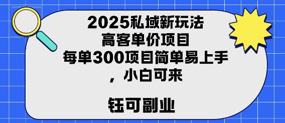 2025私域新玩法高客单价，每单3张操作简单，小白可轻松上手-网亿资源平台