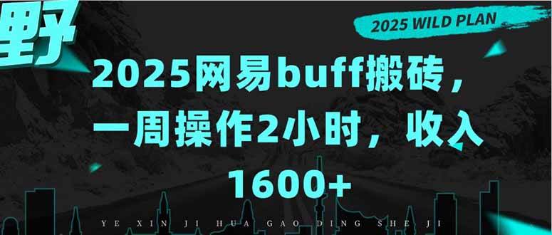 （15666期）2025网易buff搬砖，一周操作2小时，收入1600+-网亿资源平台