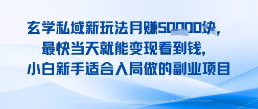 玄学私域新玩法月入1W+，最快当天就能变现看到米，小白新手适合入局做的副业项目-网亿资源平台