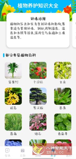手机文字放大v1.0.1高级版-网亿资源平台
