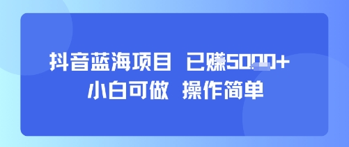 抖音蓝海项目，小白可做，操作简单，可批量制作，已挣5k+-网亿资源平台