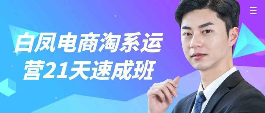 白凤电商淘系运营21天速成班-网亿资源平台