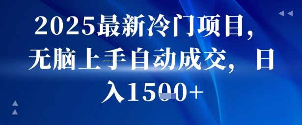 2025最新冷门项目，无脑上手自动成交，日入多张-网亿资源平台