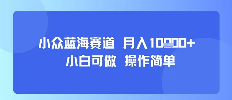 小众蓝海赛道，小白可做，操作简单，每天30分钟，月入1W+-网亿资源平台
