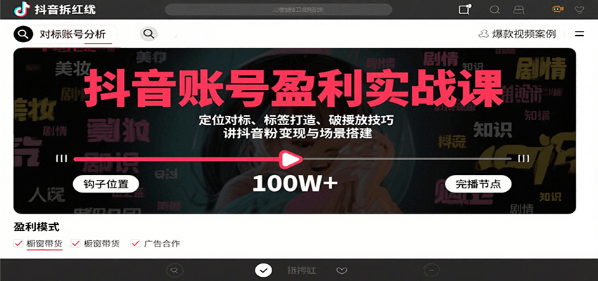 抖音账号盈利实战课，定位对标、标签打造、破播放技巧，讲涨粉变现与场景搭建-网亿资源平台
