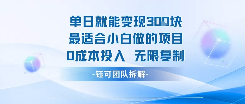 单日就能变现3张最适合小白做的项目0成本投入 无限复制-邪修侠