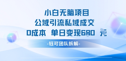 小白无脑项目公域引流私域成交0成本单日变现680米-邪修侠 - 演示