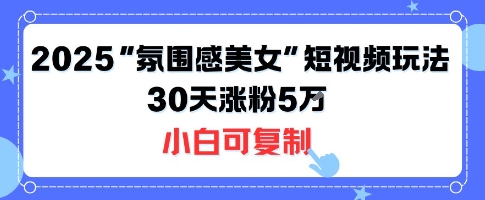 不露脸也能火！2025“氛围感美女”短视频玩法，30天涨粉5W小白可复制-网亿资源平台