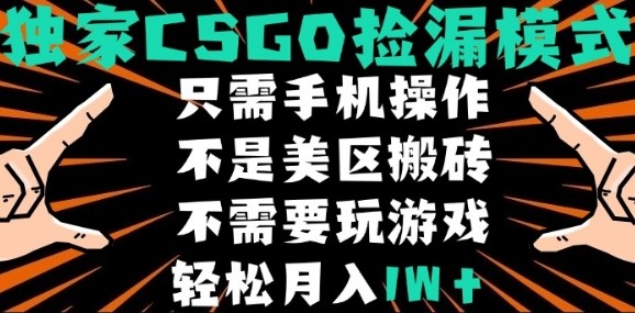 CSGO自动捡漏项目,最新独家玩法,不是美区搬砖,不需要了解和玩游戏,新手小白轻松月入1W+【揭秘】-邪修侠 - 演示