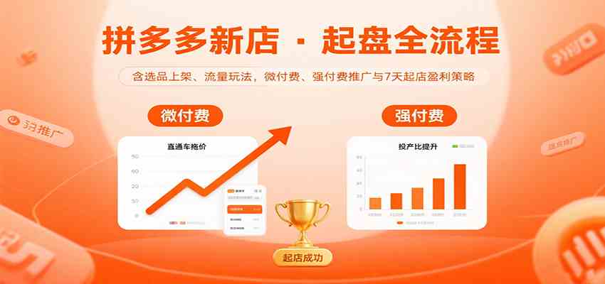 拼多多新店起盘全流程，含选品上架、流量玩法，微付费、强付费推广与7天起店盈利策略-网亿资源平台