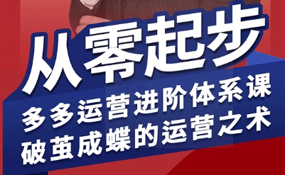 拼多多运营进阶系统课，从零起步，多多运营进阶体系课，破茧成蝶的运营之术-网亿资源平台