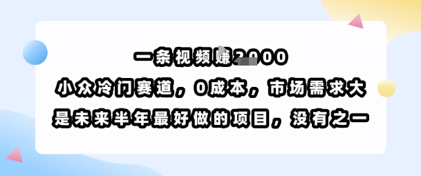 一条视频挣1k，小众冷门赛道，0成本，市场需求大，是未来半年最好做的项目，没有之一-网亿资源平台